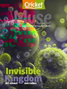 Muse January 01, 2025 Issue Cover
