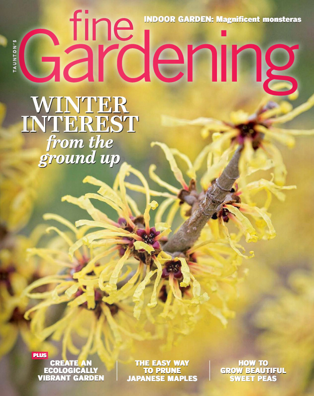 Fine-Gardening January 01, 2022 Issue Cover