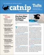 Catnip July 01, 2020 Issue Cover
