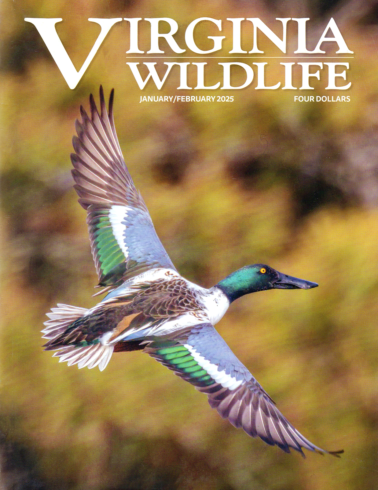 Virginia-Wildlife January 01, 2025 Issue Cover