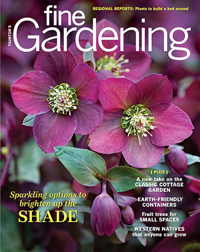 Fine-Gardening December 01, 2020 Issue Cover
