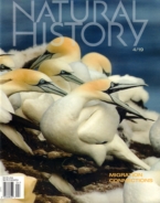 Natural-History April 01, 2019 Issue Cover