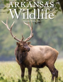 Arkansas-Wildlife September 01, 2025 Issue Cover