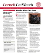 Catwatch October 01, 2023 Issue Cover