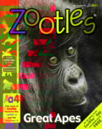 Zootles February 01, 2012 Issue Cover