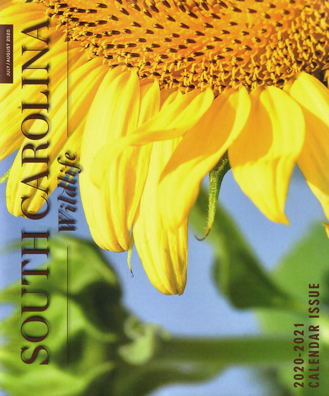 South-Carolina-Wildlife July 01, 2020 Issue Cover