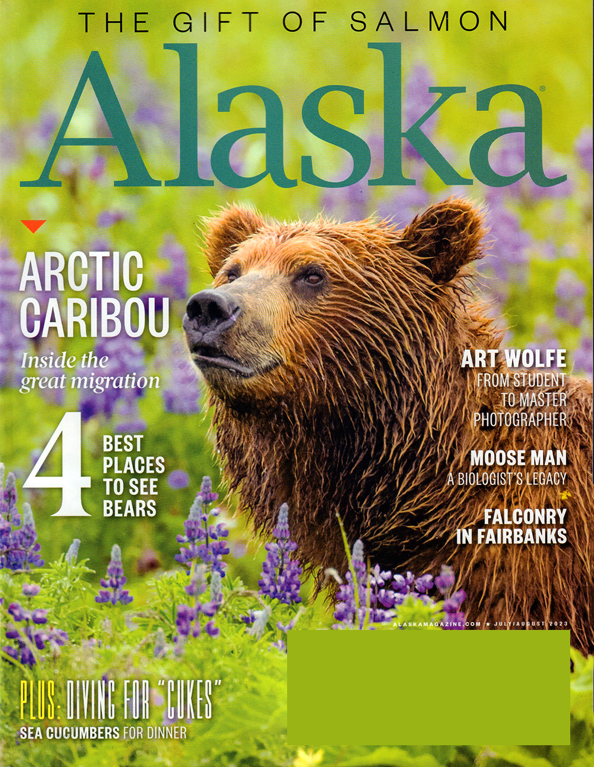 Alaska Magazine  Subscription Services