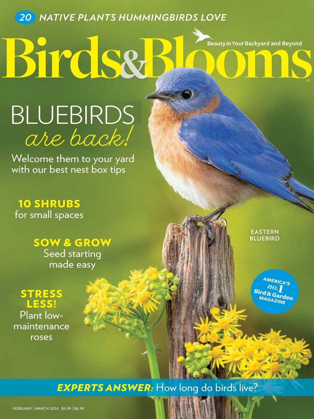 Birds & Blooms Magazine | Magazine-Agent.com