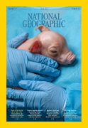 National Geographic June 01, 2025 Issue Cover