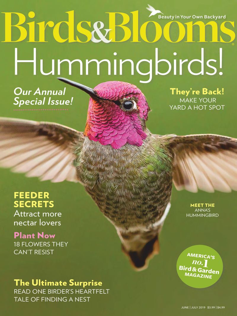Birds-and-Blooms June 01, 2019 Issue Cover