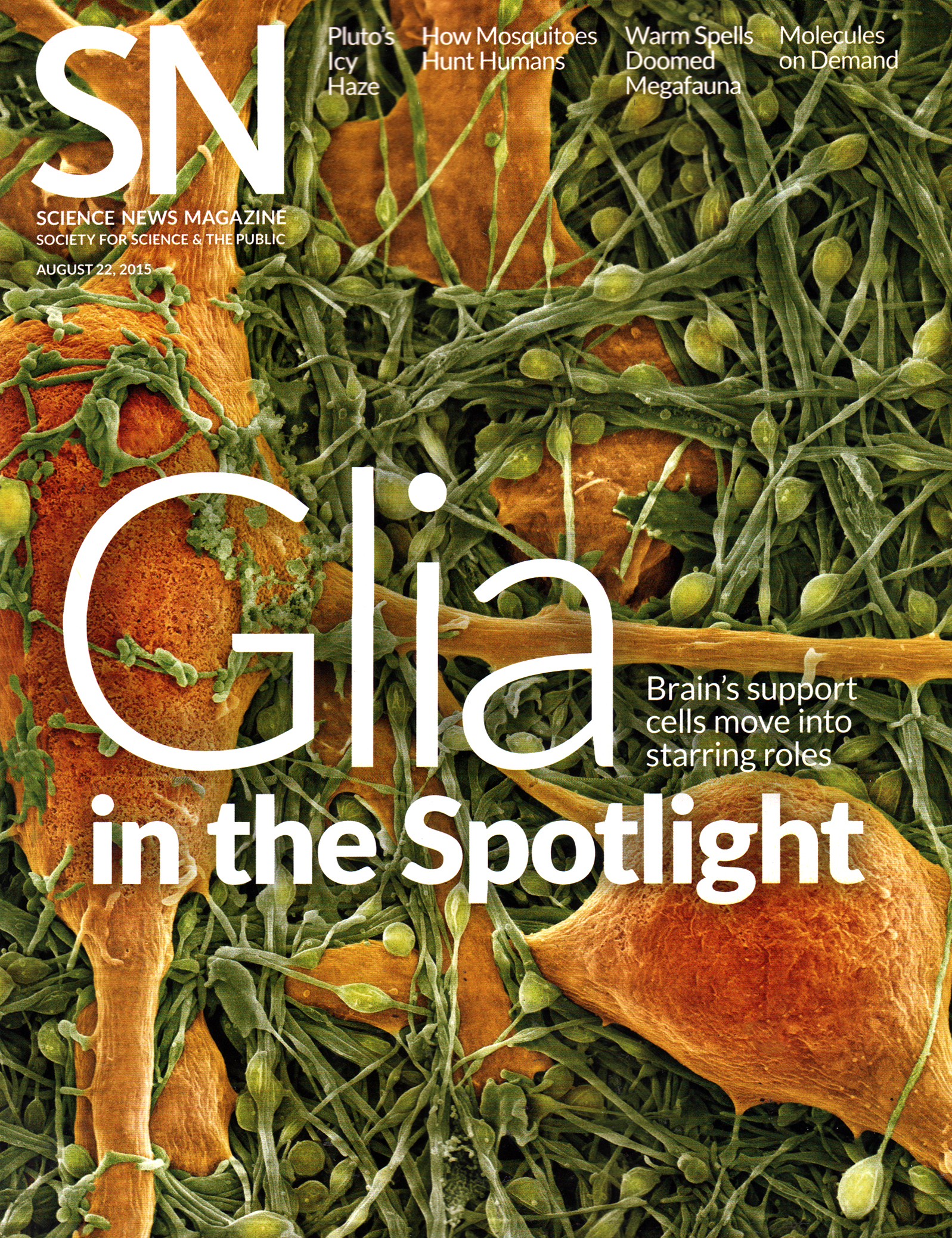 Science-News August 22, 2015 Issue Cover