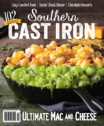 Southern-Cast-Iron January 01, 2019 Issue Cover