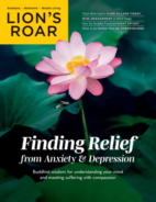 Lions-Roar November 01, 2026 Issue Cover