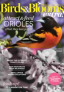 Birds-and-Blooms-Extra May 01, 2017 Issue Cover