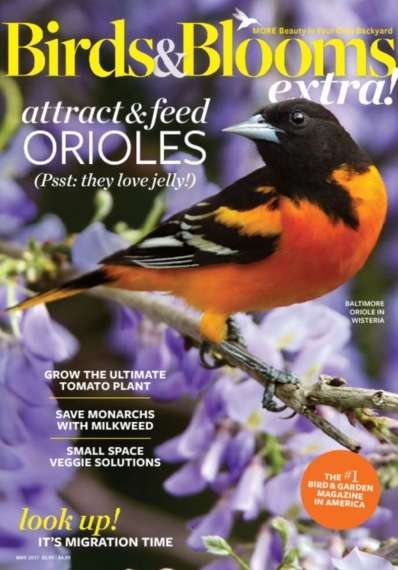Birds & Blooms Extra May 01, 2017 Issue Cover