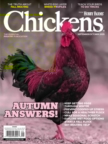 Chickens September 01, 2025 Issue Cover
