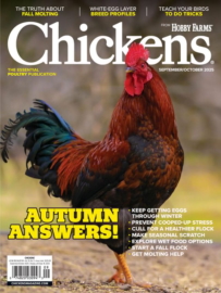 Chickens September 01, 2025 Issue Cover