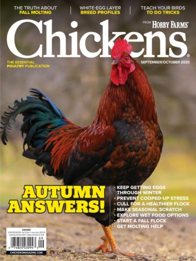 Chickens September 01, 2025 Issue Cover