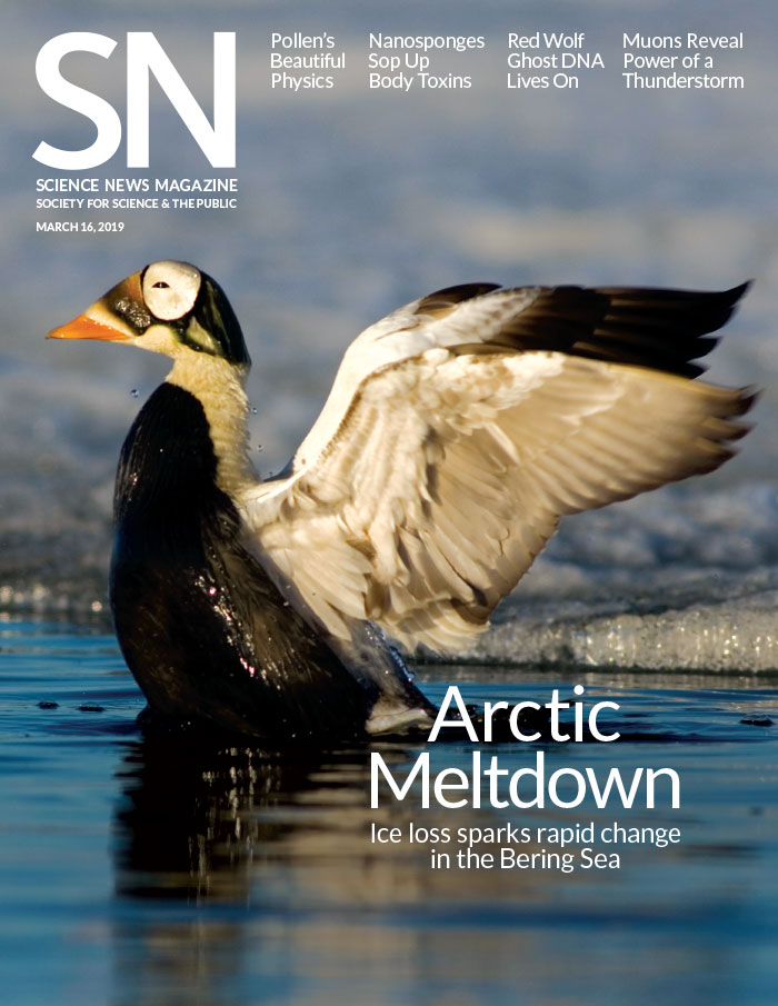 science-news March 16, 2019 Issue Cover