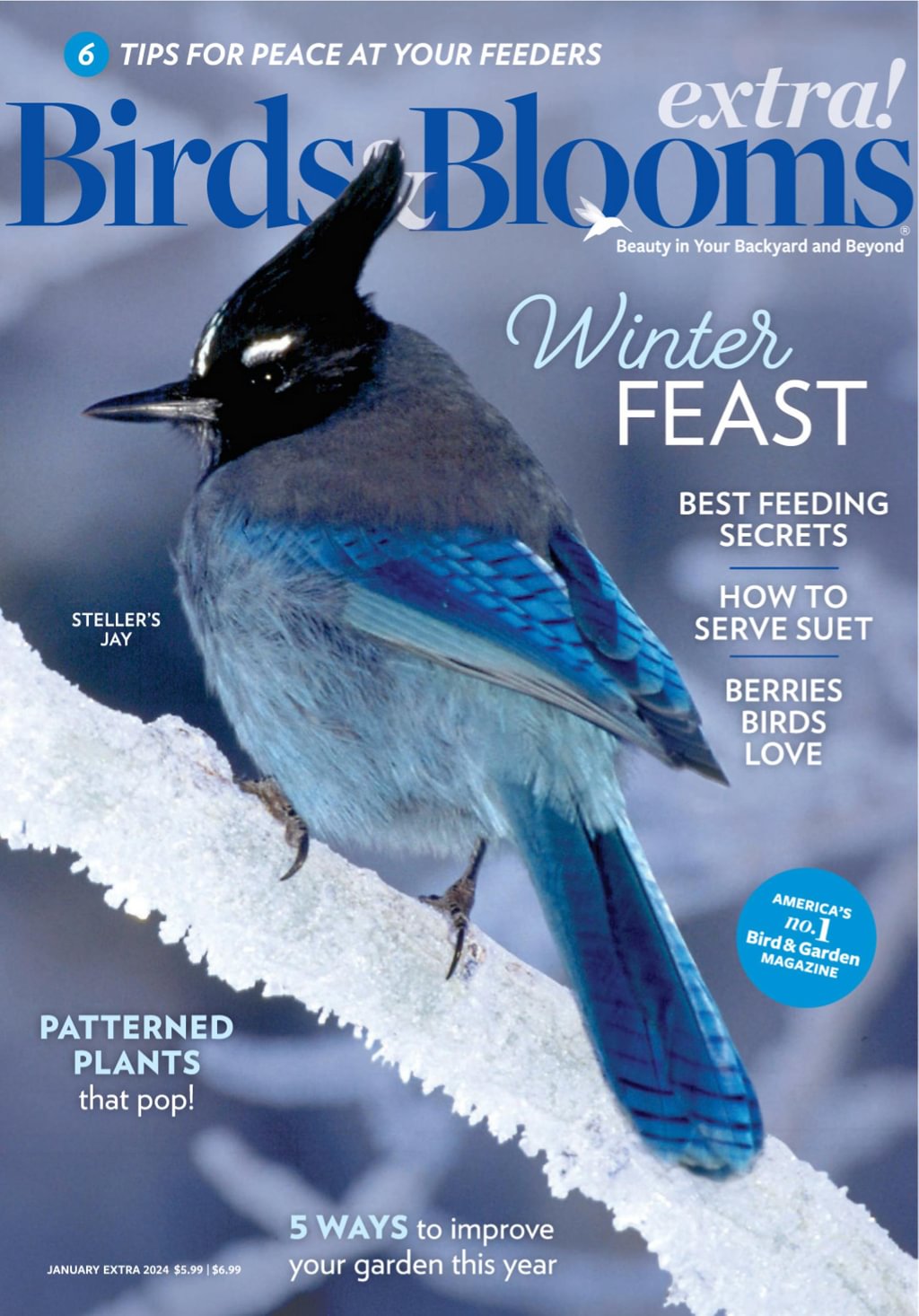 Birds And Blooms Extra | Magazine-Agent.com