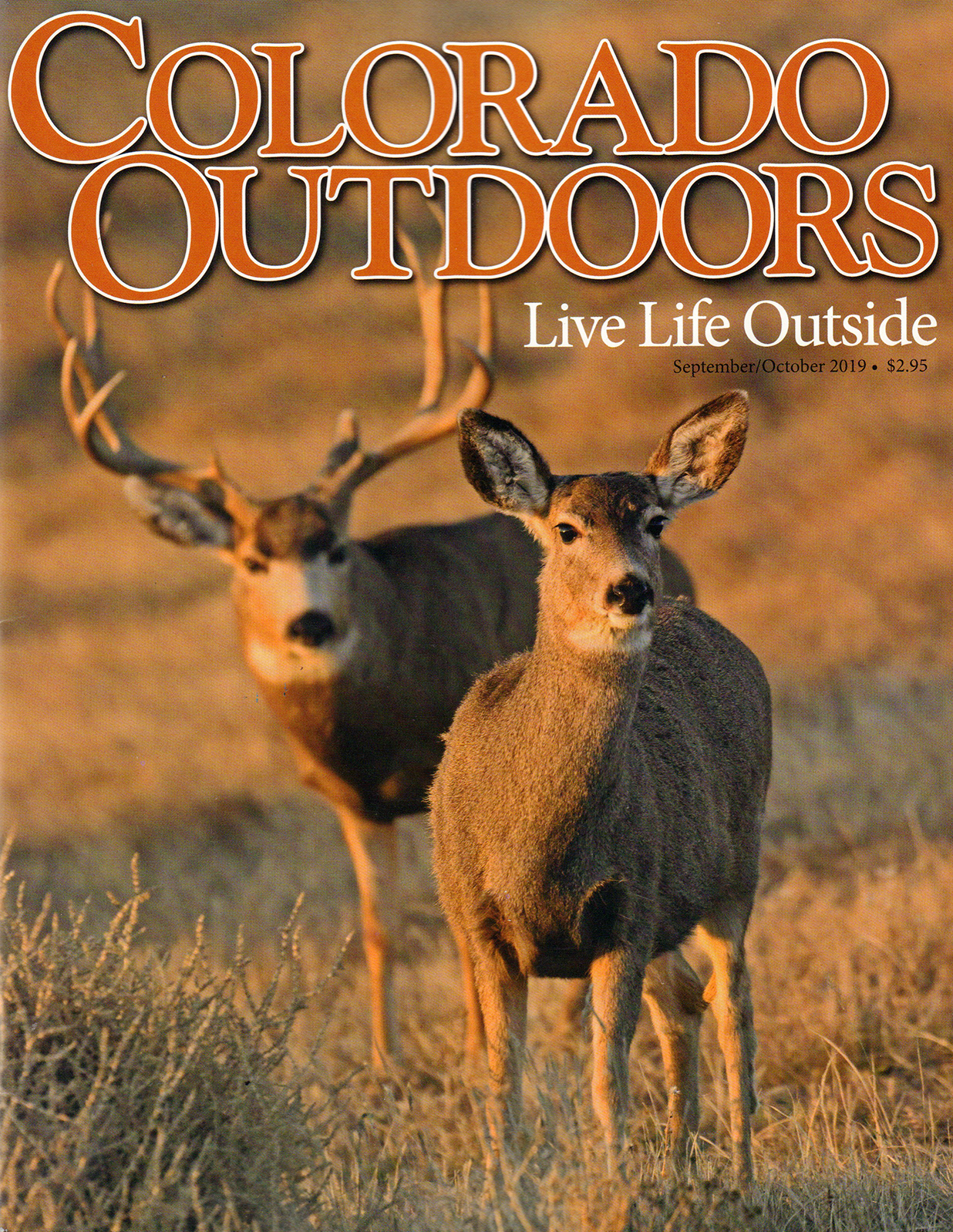 Colorado-Outdoors September 01, 2019 Issue Cover