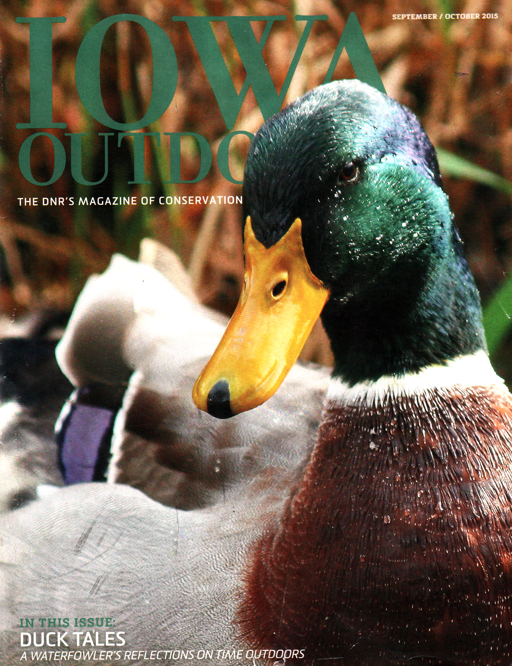 Iowa-Outdoors September 01, 2015 Issue Cover
