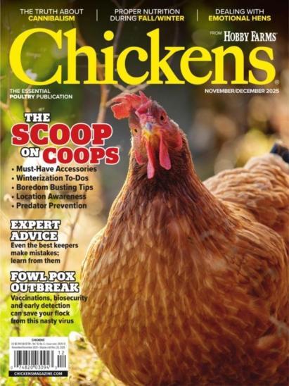Chickens November 01, 2025 Issue Cover