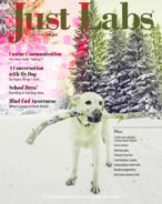 Just-Labs January 01, 2022 Issue Cover