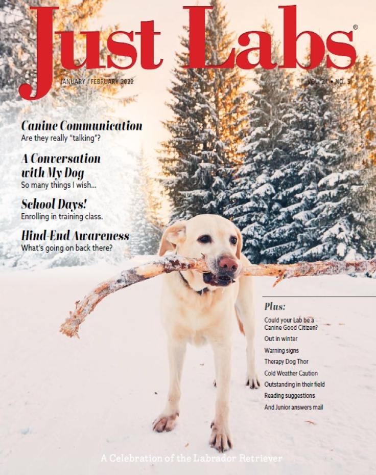 Just-Labs January 01, 2022 Issue Cover