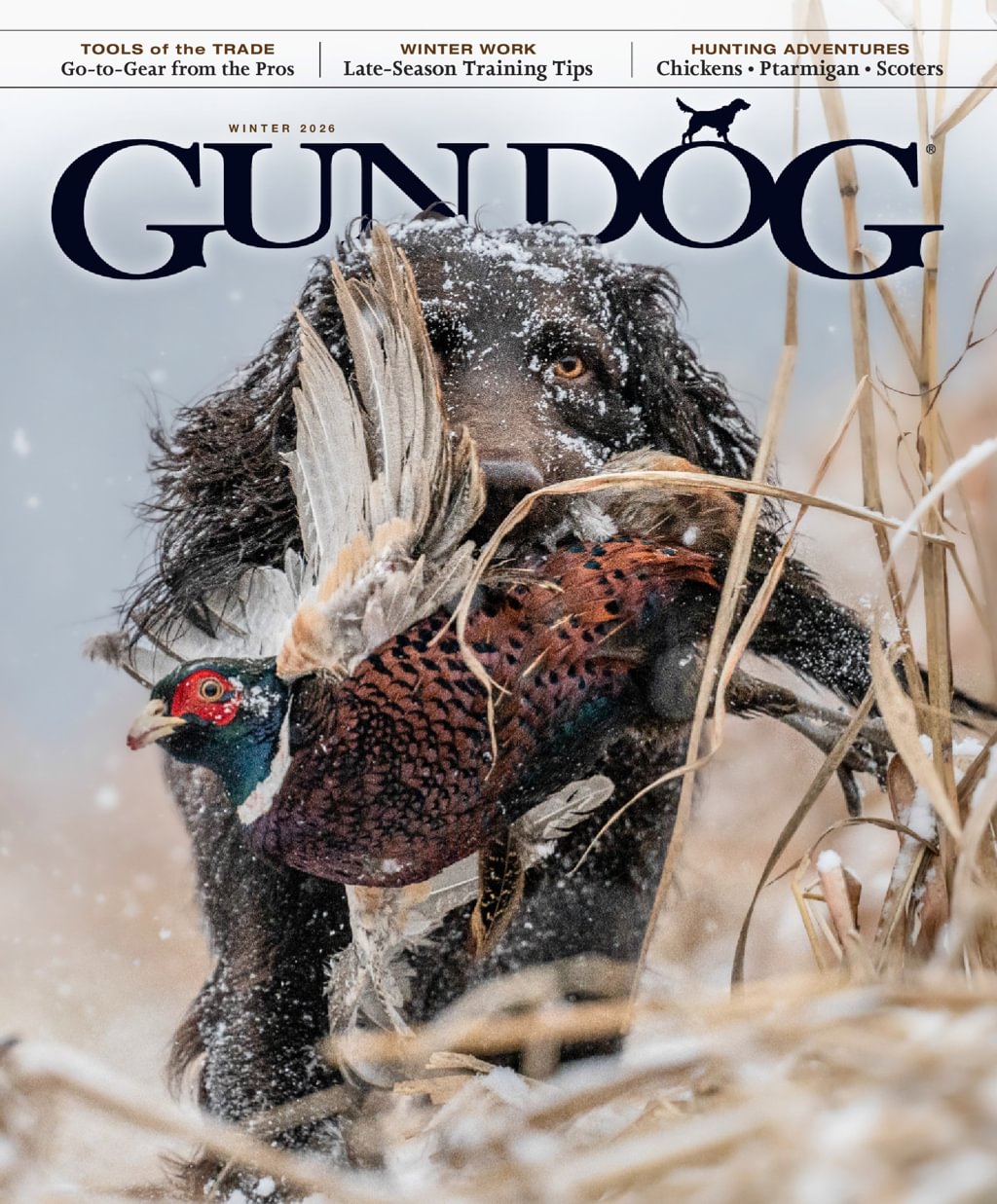 Gun-Dog December 01, 2025 Issue Cover