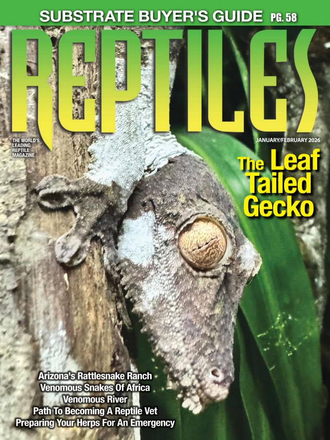reptiles January 01, 2026 Issue Cover