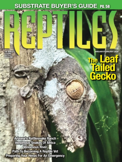 Reptiles January 01, 2026 Issue Cover