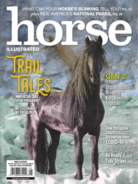 Horse-Illustrated August 01, 2020 Issue Cover