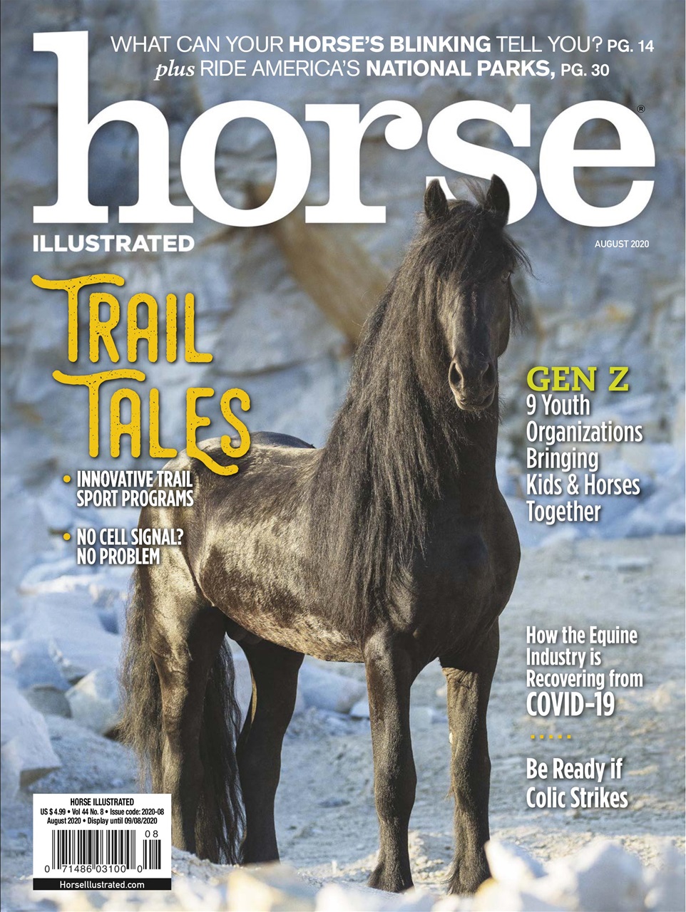 Horse-Illustrated August 01, 2020 Issue Cover