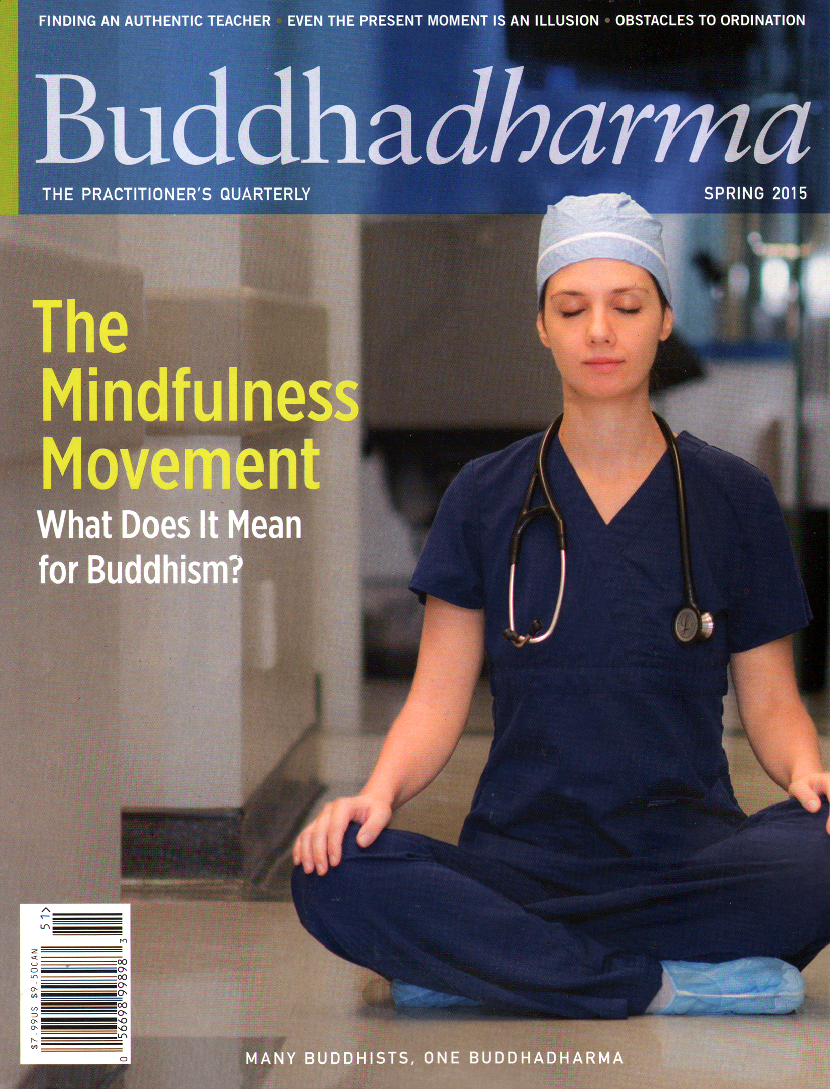 BUDDHADHARMA-THE-PRACTIONERS-QUARTERLY March 01, 2015 Issue Cover