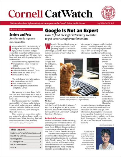 Catwatch July 01, 2026 Issue Cover
