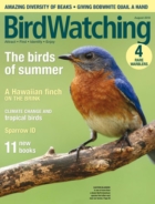 Bird-Watching July 01, 2018 Issue Cover