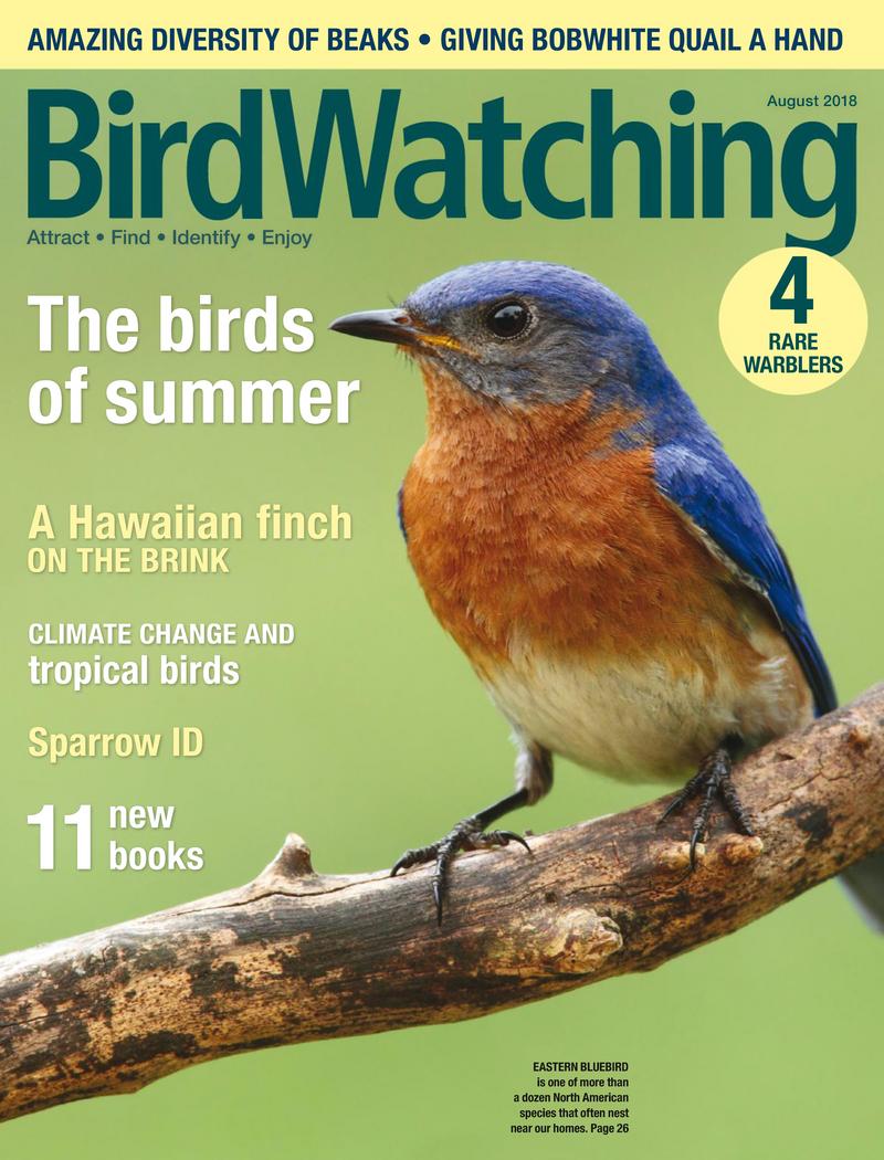 Bird-Watching July 01, 2018 Issue Cover