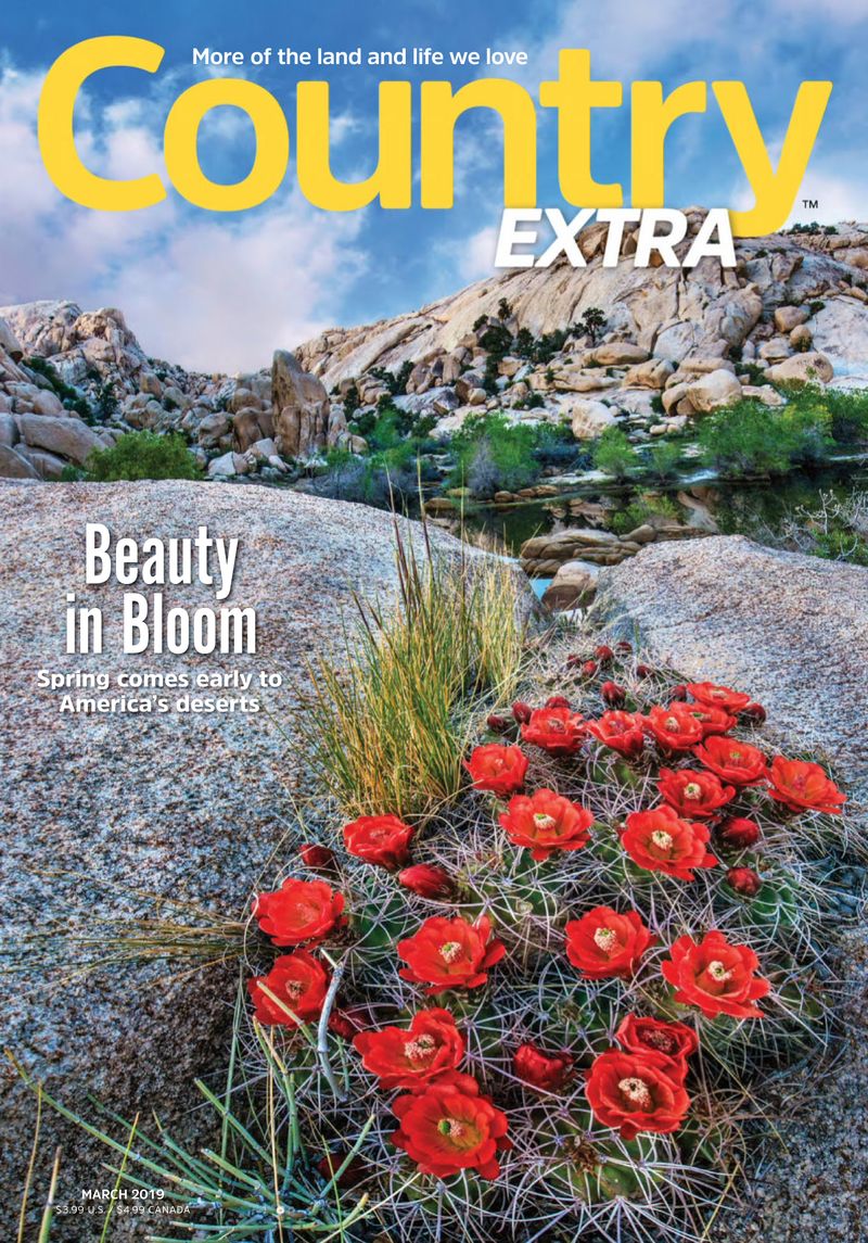 Country-Extra March 01, 2019 Issue Cover
