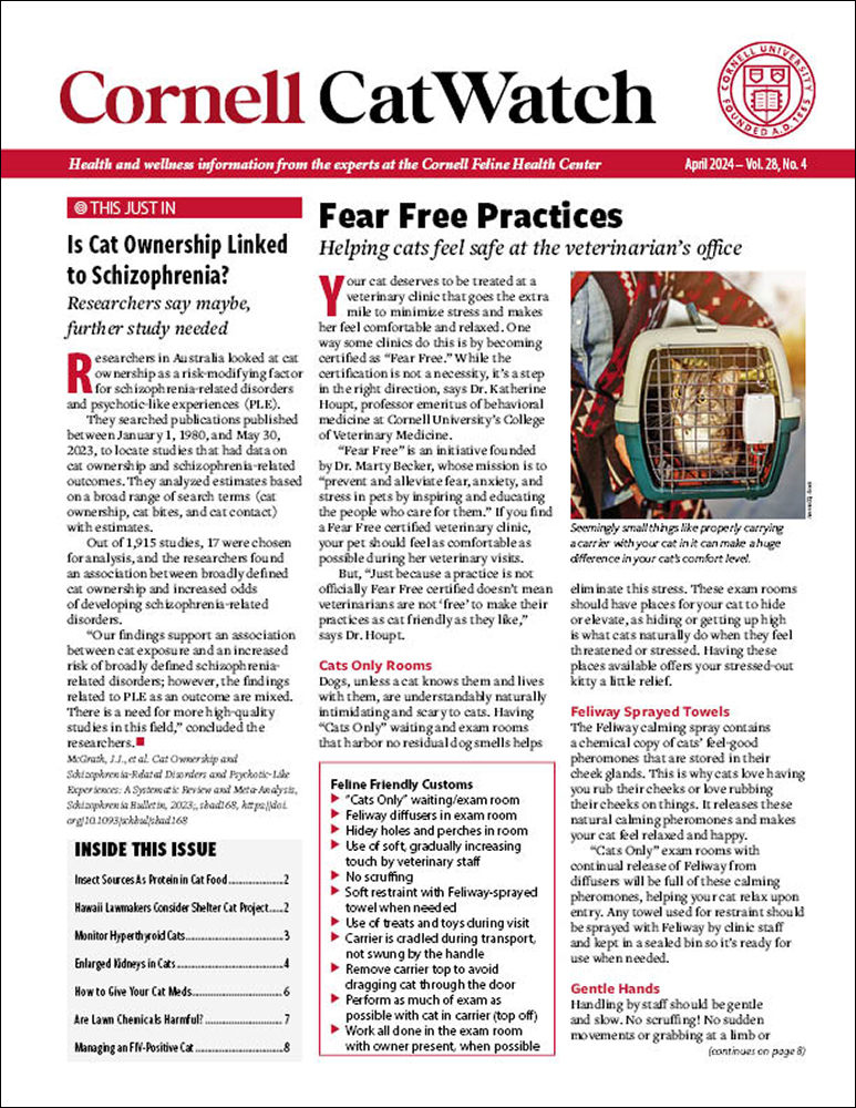 Catwatch April 01, 2024 Issue Cover