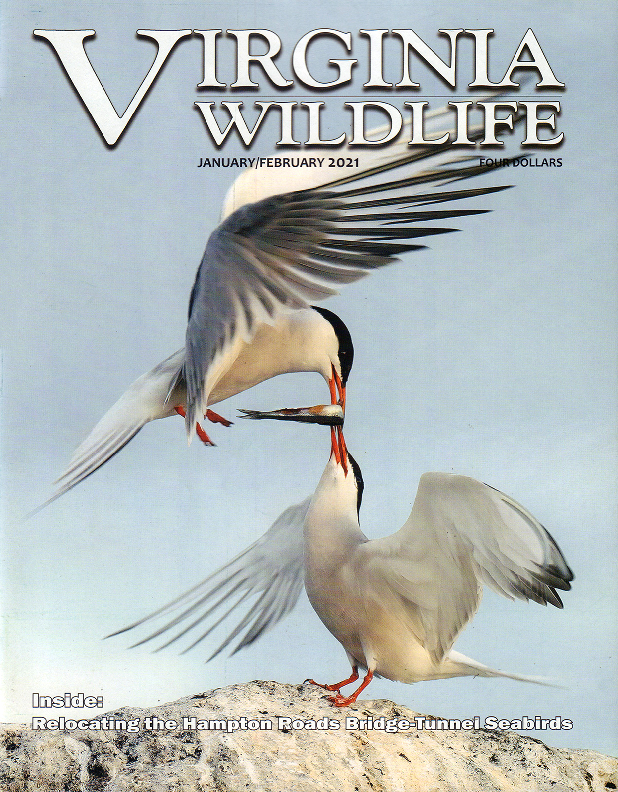 Virginia-Wildlife January 01, 2021 Issue Cover