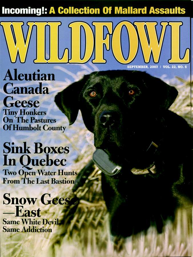 Wildfowl September 01, 2007 Issue Cover