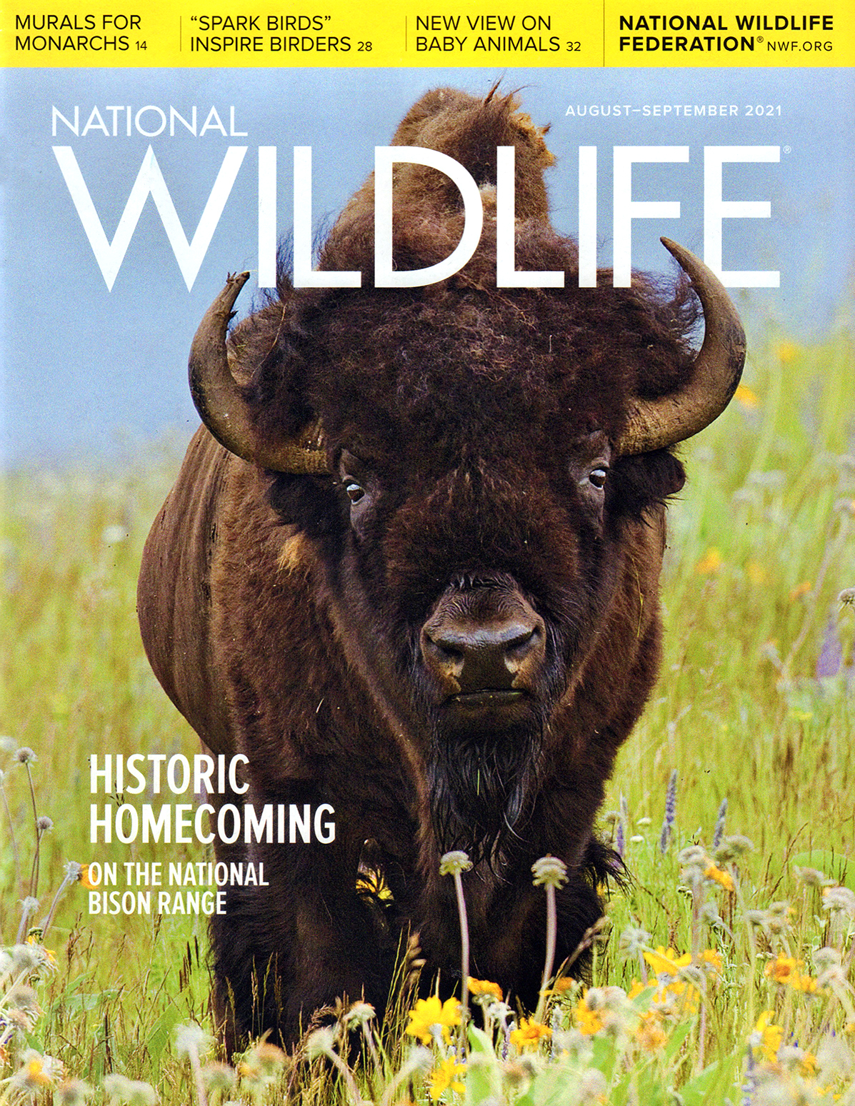 National-Wildlife August 01, 2021 Issue Cover