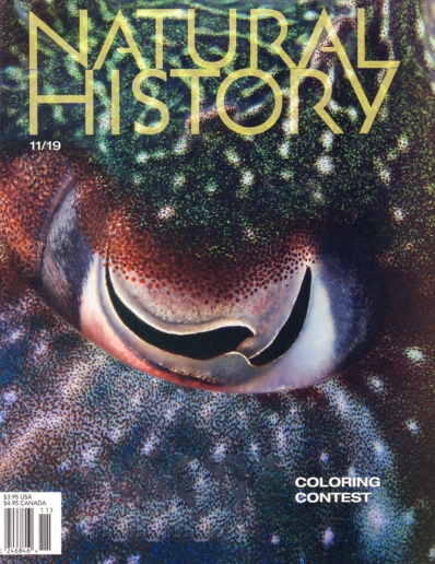 Natural History November 01, 2019 Issue Cover