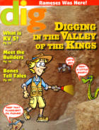 Dig-Magazine February 01, 2012 Issue Cover