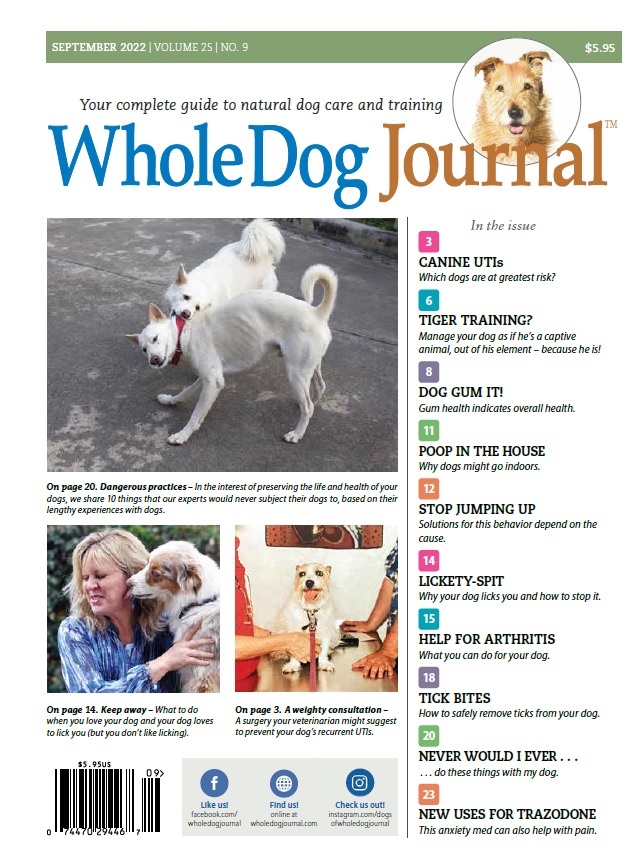 Whole-Dog-Journal September 01, 2022 Issue Cover
