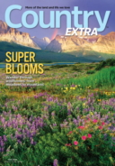 Country-Extra May 01, 2018 Issue Cover