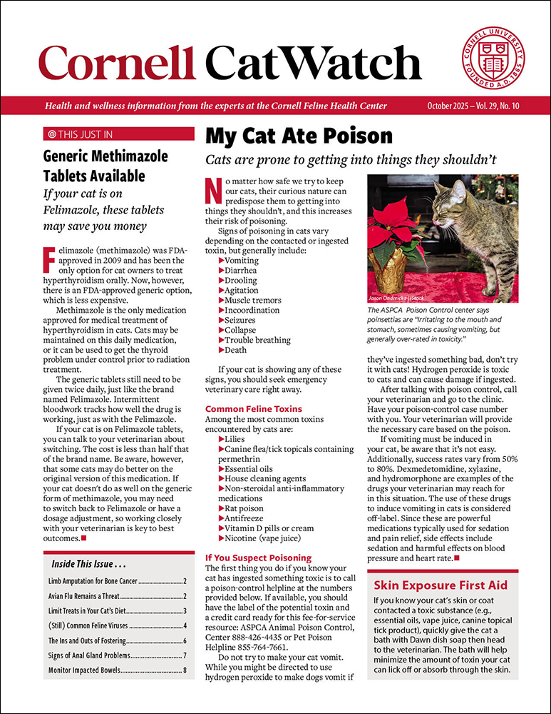 Catwatch October 01, 2025 Issue Cover