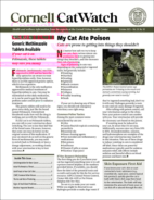 Catwatch October 01, 2025 Issue Cover