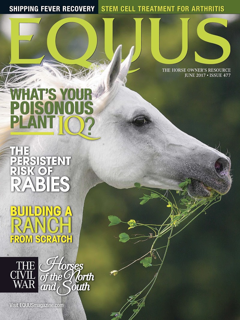 Equus June 01, 2017 Issue Cover